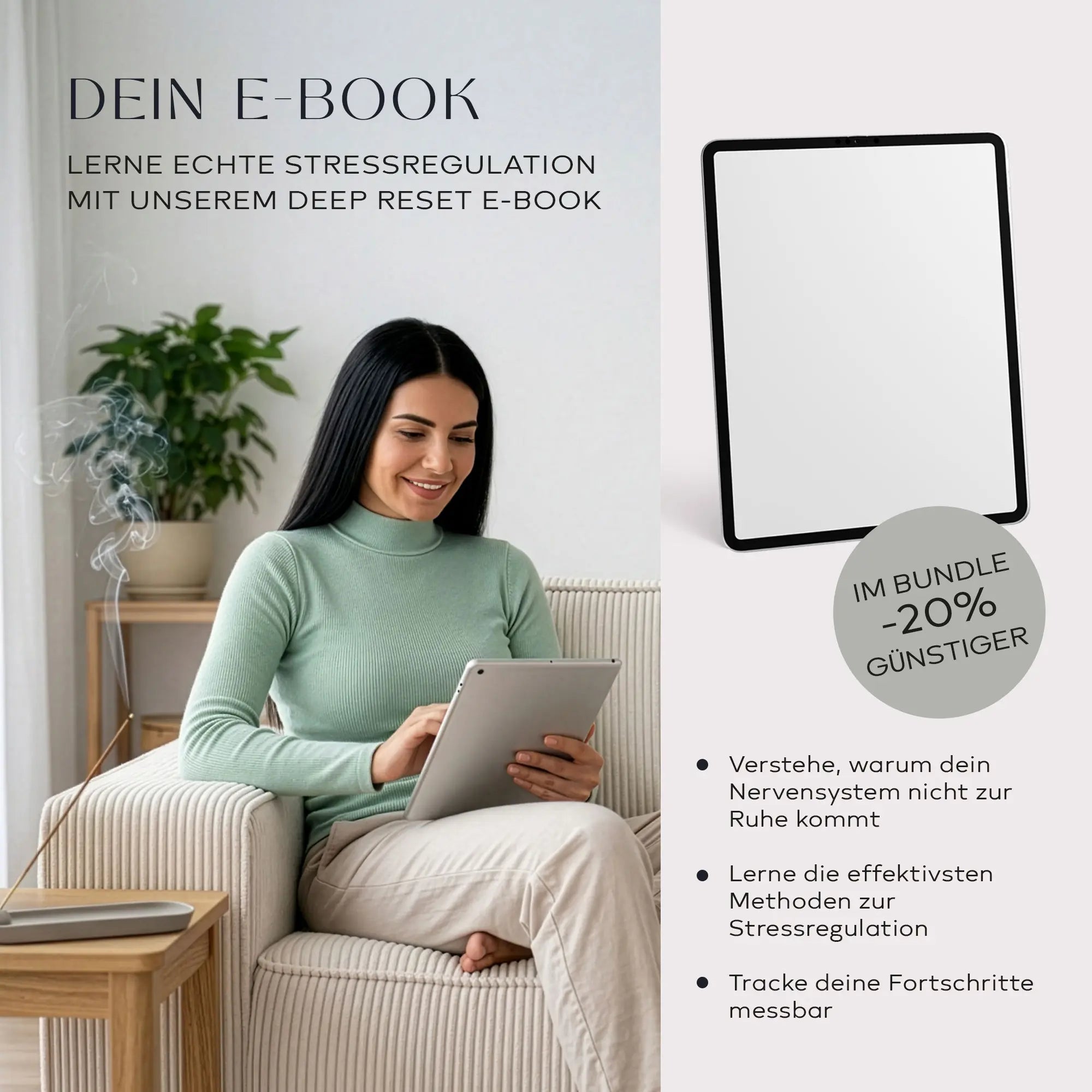 Deep Reset E-Book